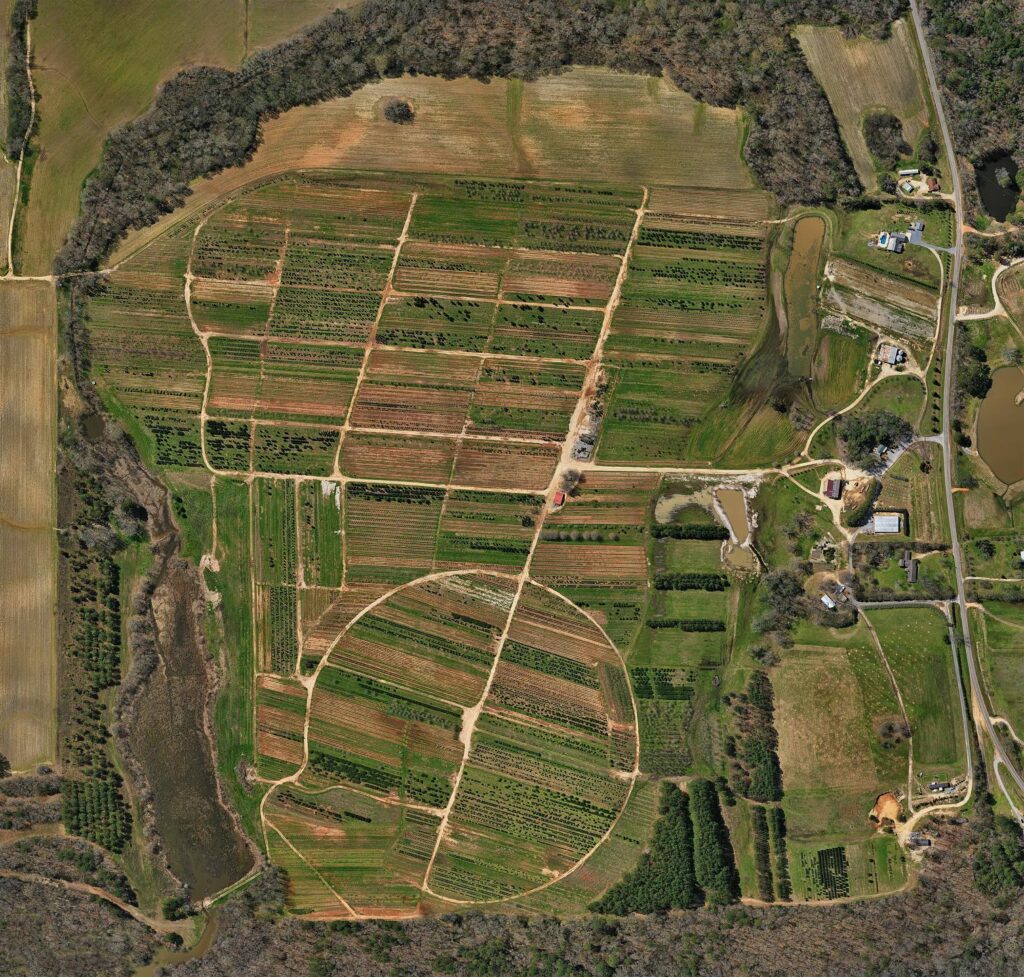 aerial plant nursery